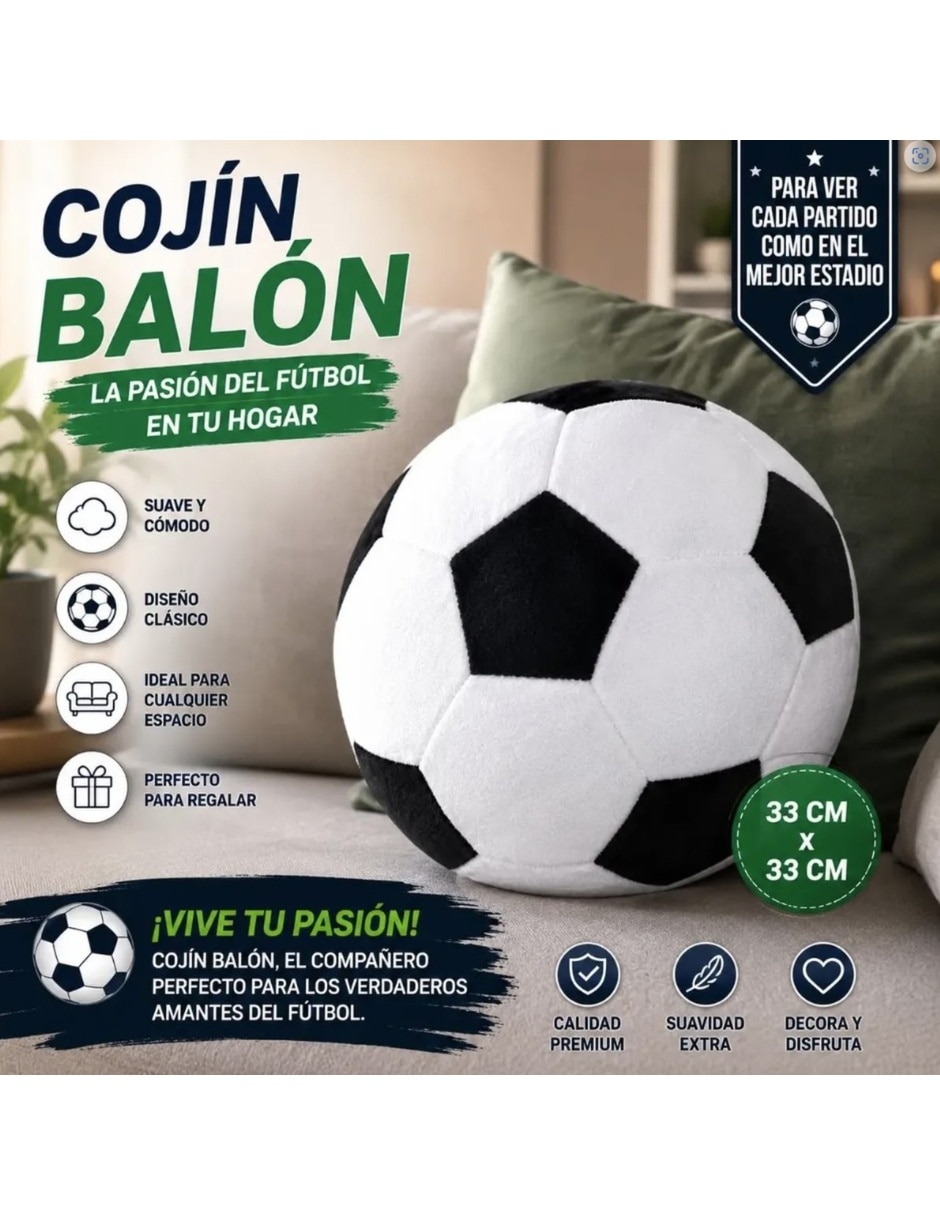 Cojín 2