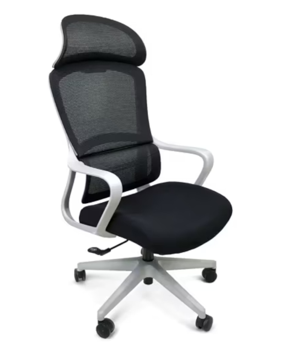 Silla de escritorio Ergo