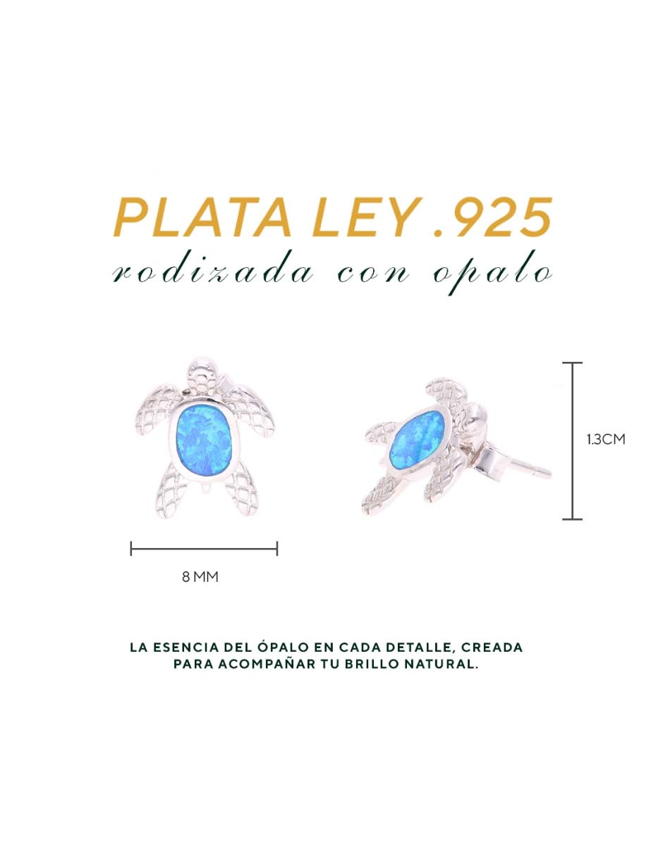 Broqueles de tortuga de plata P 925 con acabado brillante 2