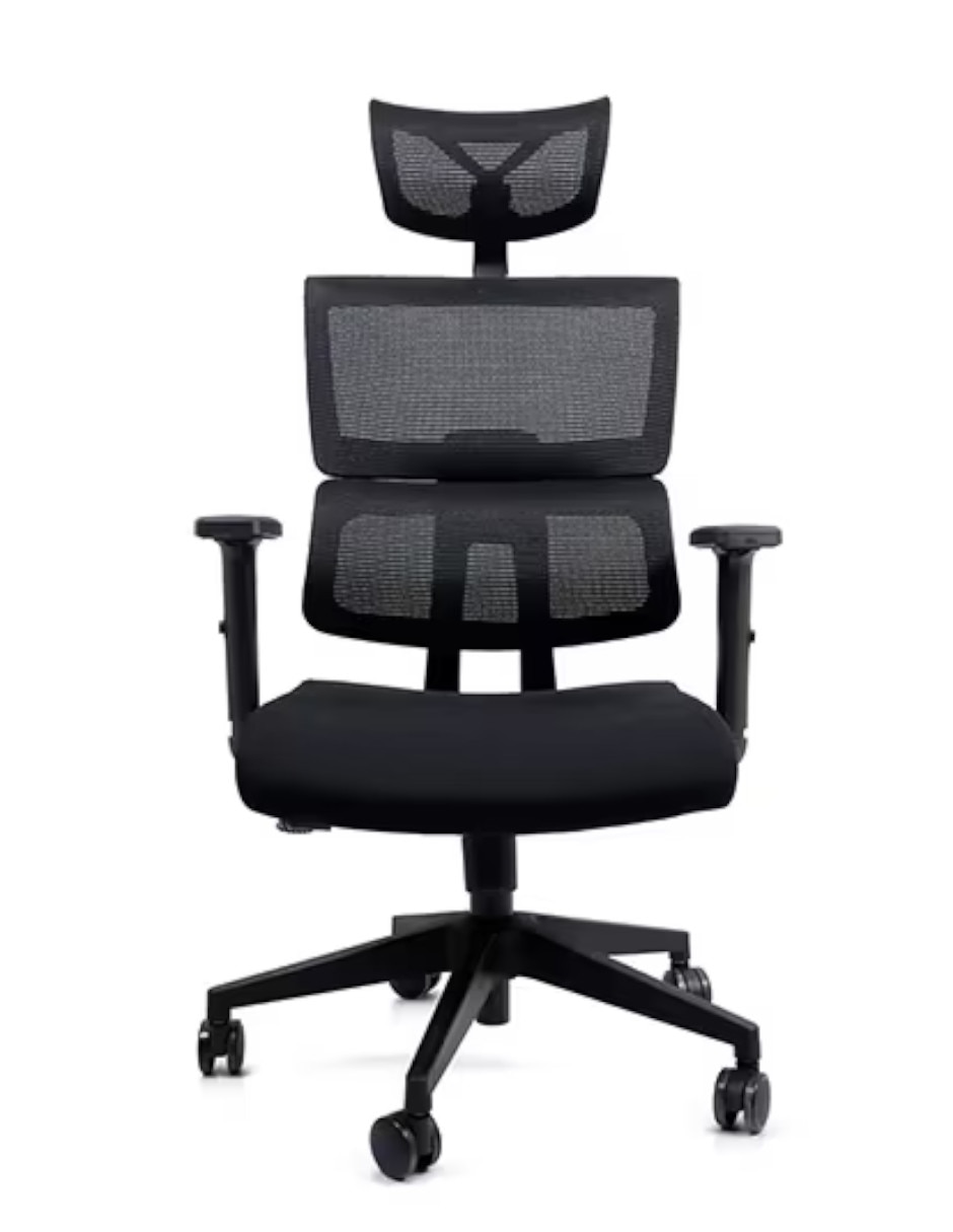 Silla de escritorio Ergo