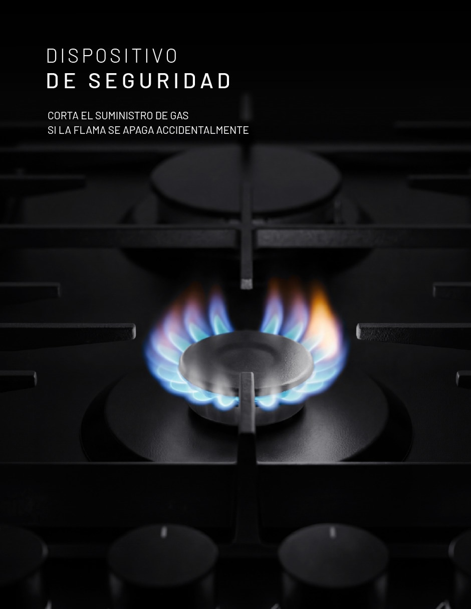 Parrilla a Gas LP empotrable 6
