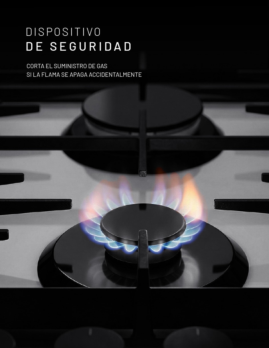 Parrilla a Gas LP empotrable 6