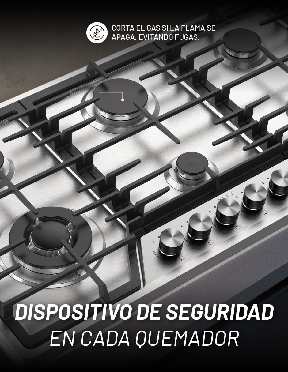 Parrilla a Gas LP empotrable 5