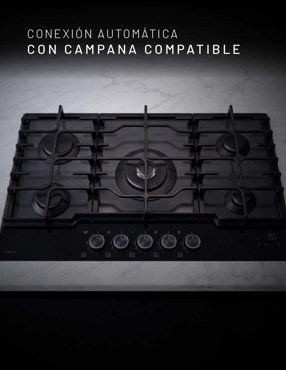 Parrilla a Gas LP empotrable 6