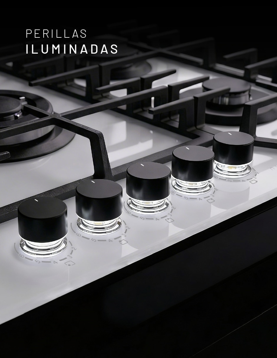 Parrilla a Gas LP empotrable 5