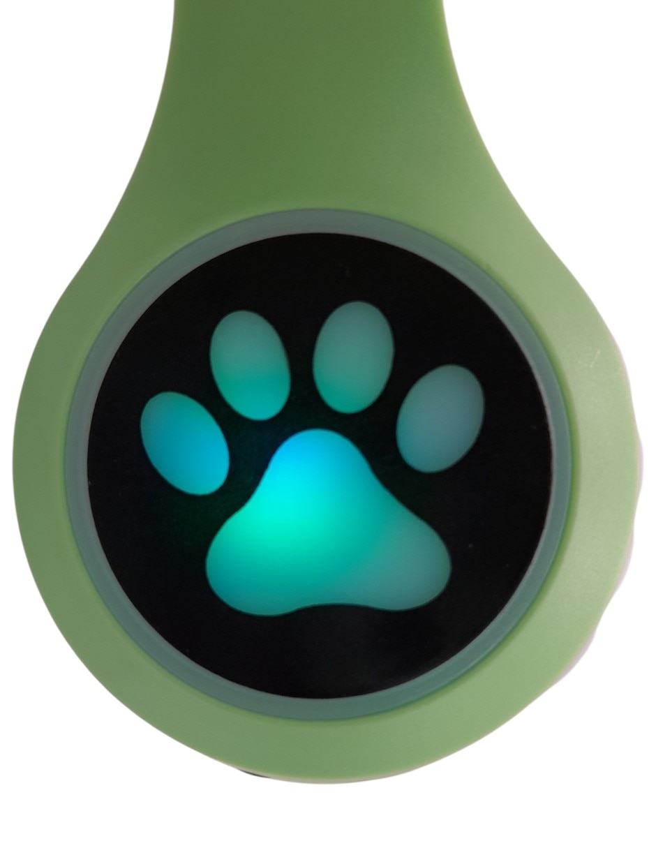Audífonos Over-Ear Cat ear alámbricos e inalámbricos