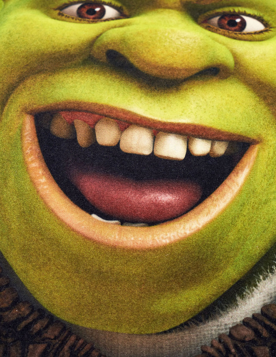 Almohada Súper Jumbo Shrek Pantano firmeza Medio 5