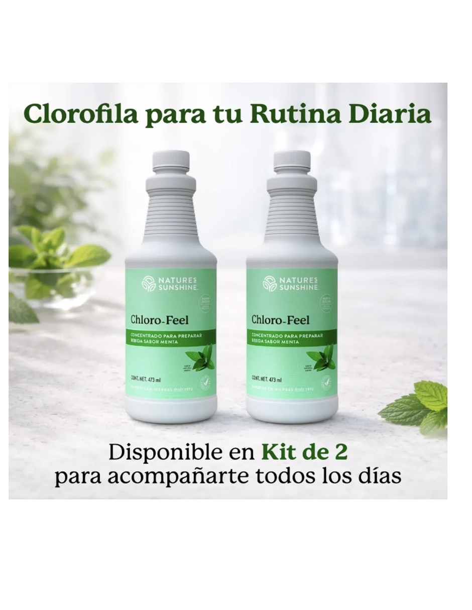 Chloro-Feel Natures Health con concentrado de clorofila sabor menta de 473 ml