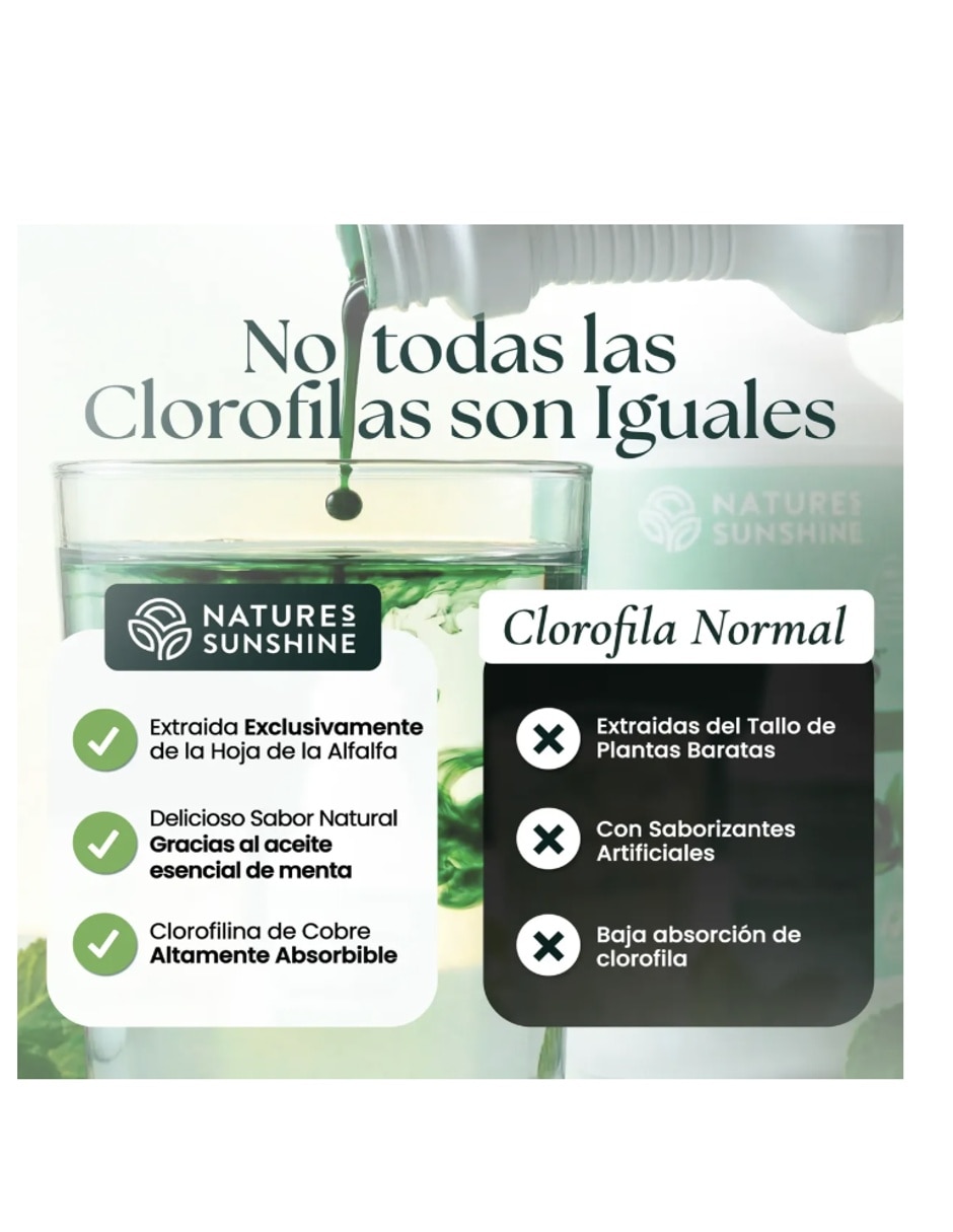 Chloro-Feel con concentrado de clorofila sabor menta de 473 ml 3