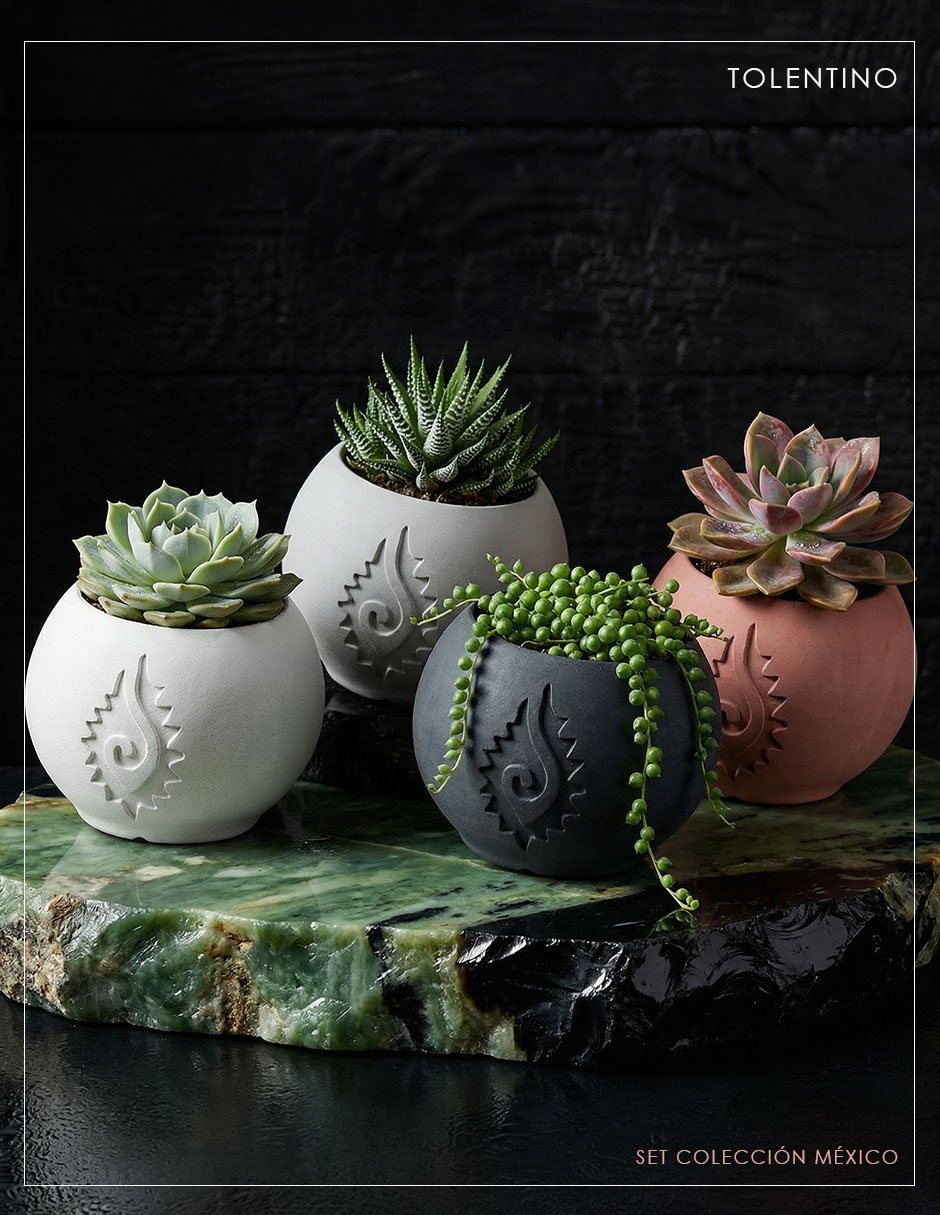 Set maceta Xica de cemento 2