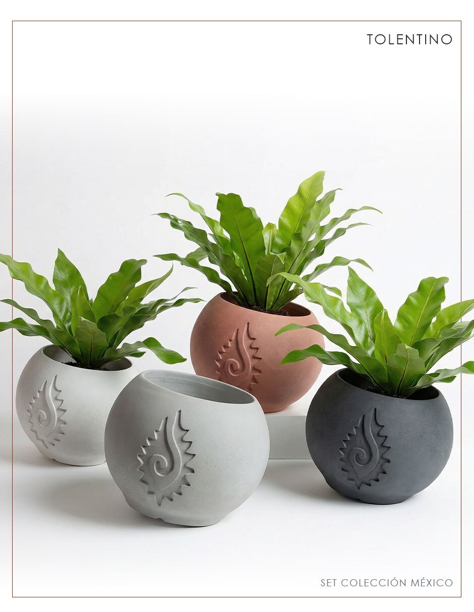 Set maceta Xica de cemento 6