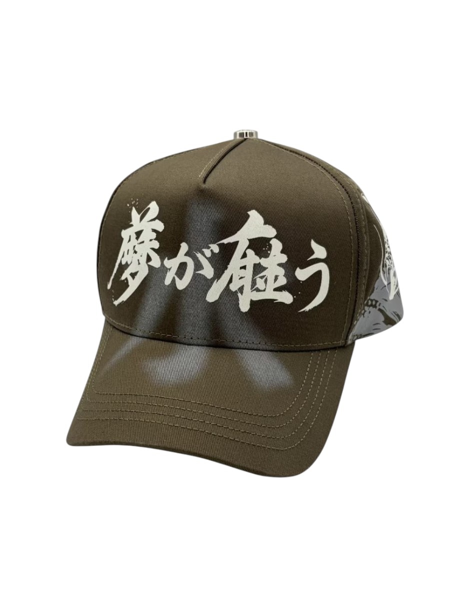Gorra visera curva snapback casual para hombre 2