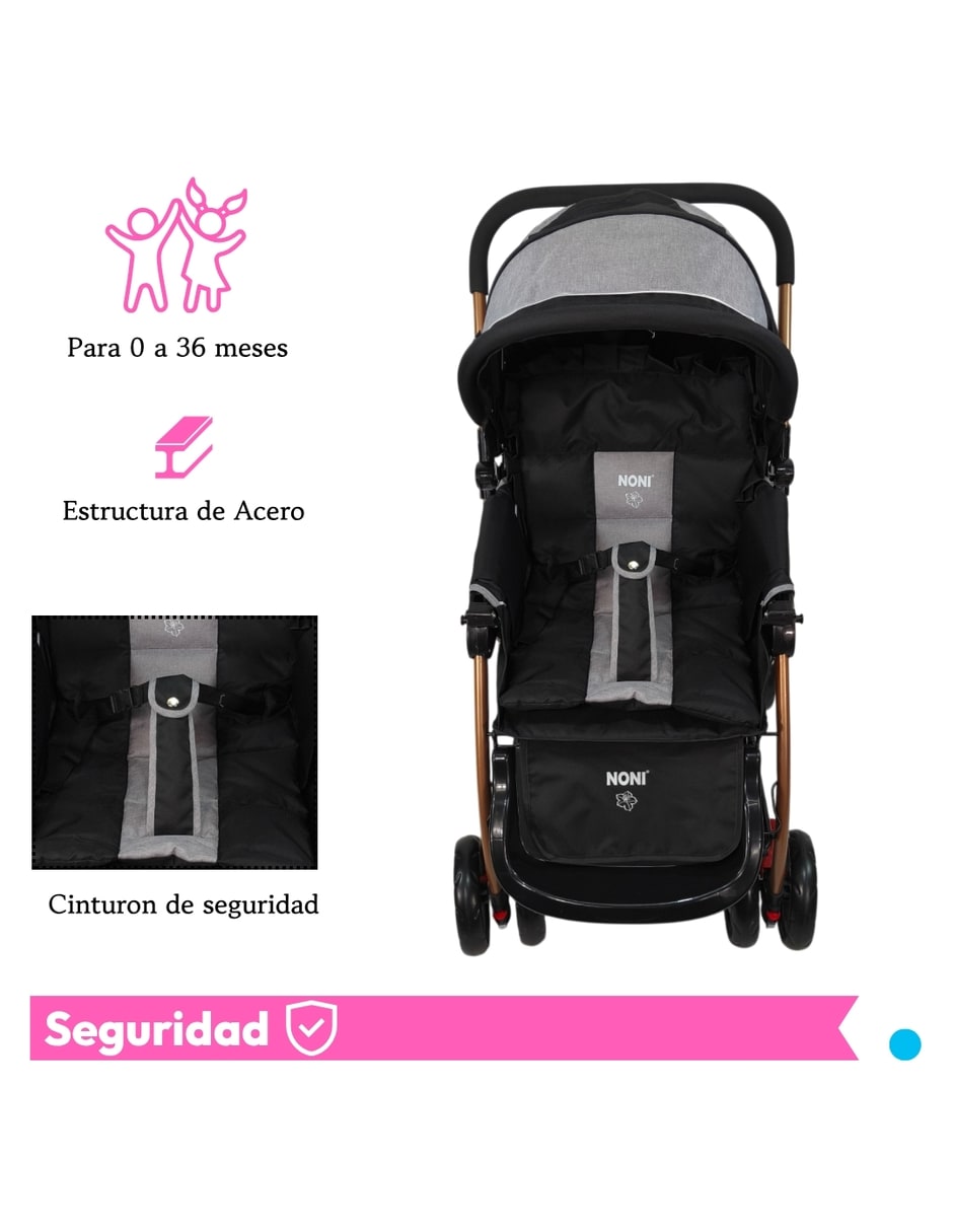 Carriola de bastón plegable 2