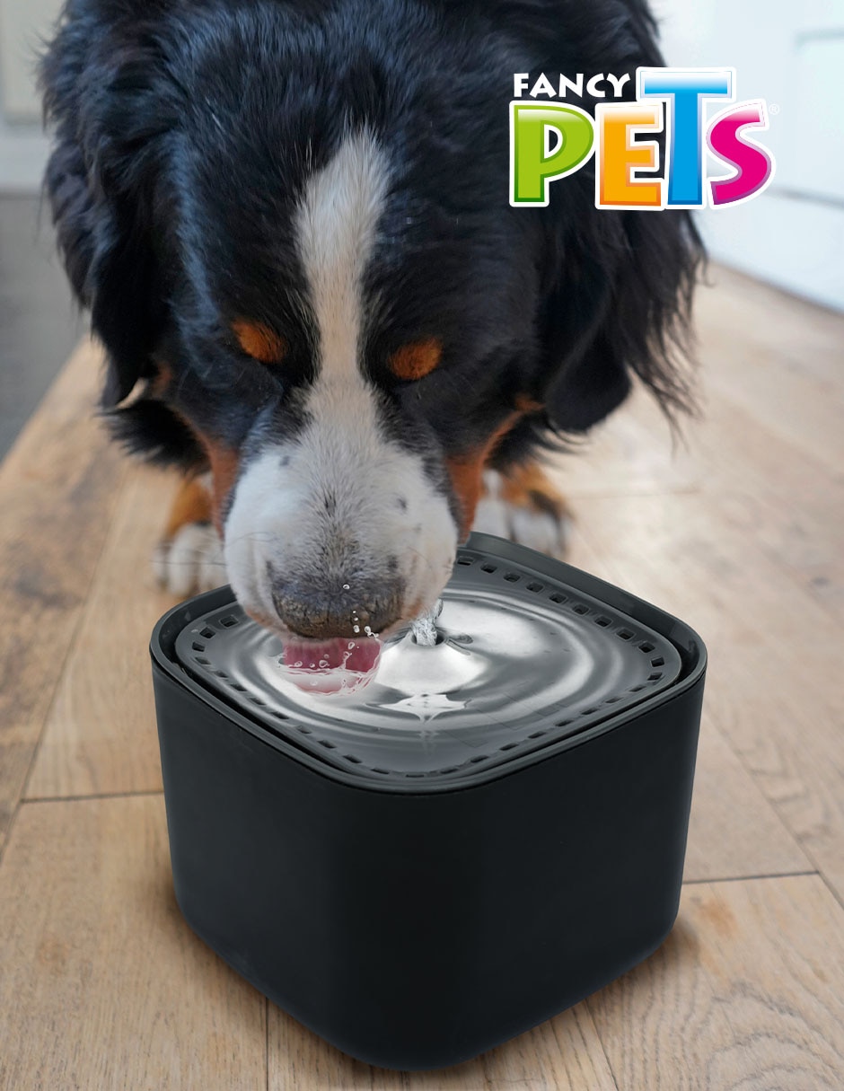 Bebedero automático para mascota 2