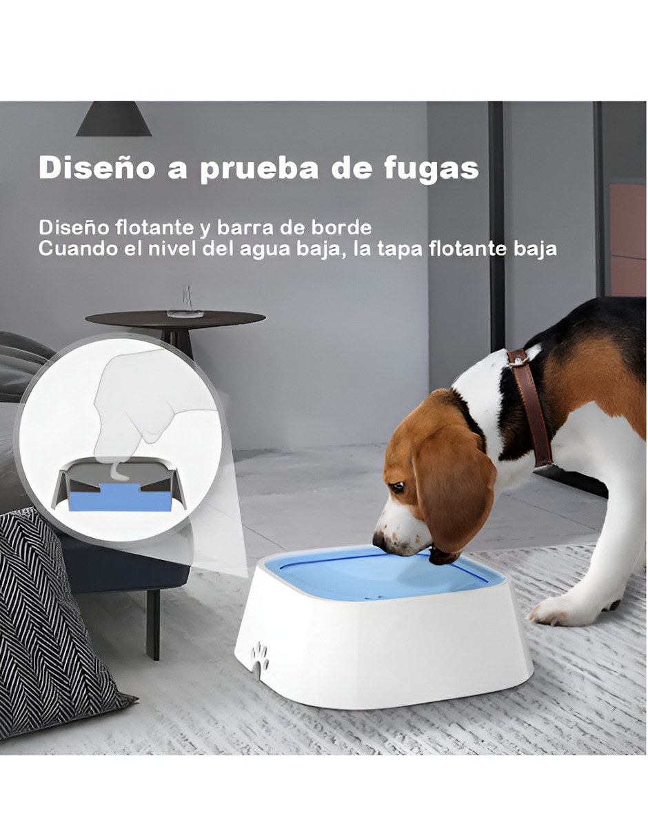 Bebedero transparente para perro 2