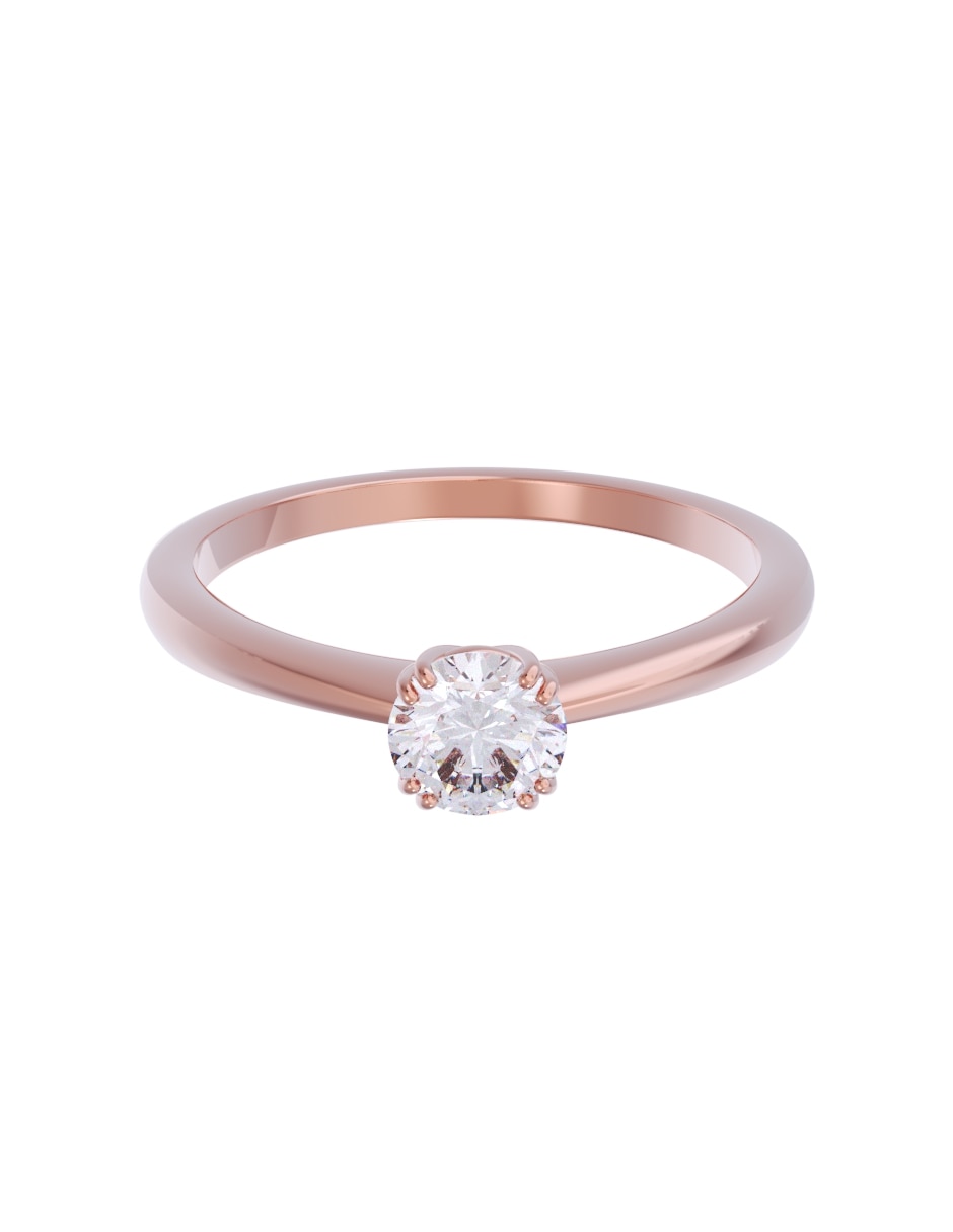 Rosa 3