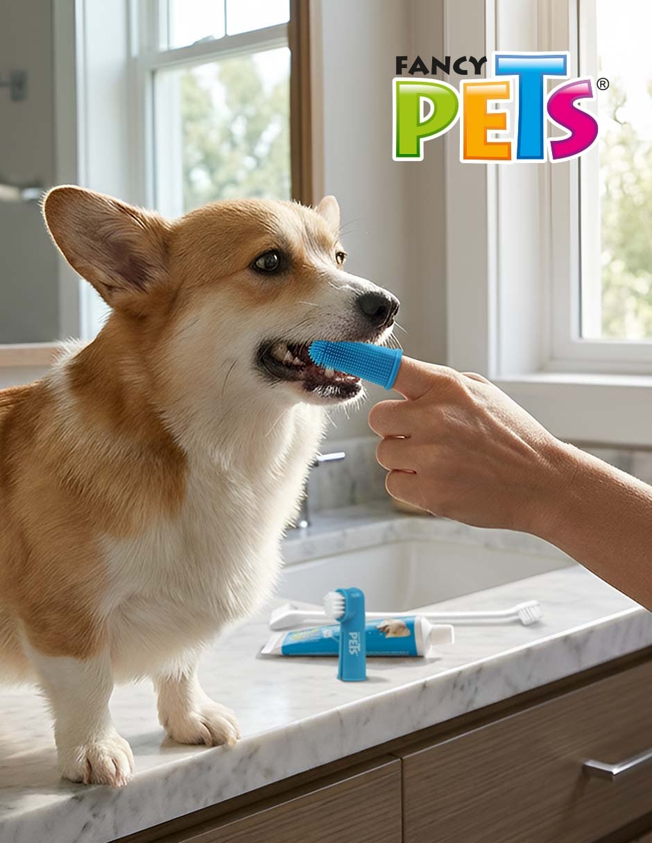 Cepillo para perro 2