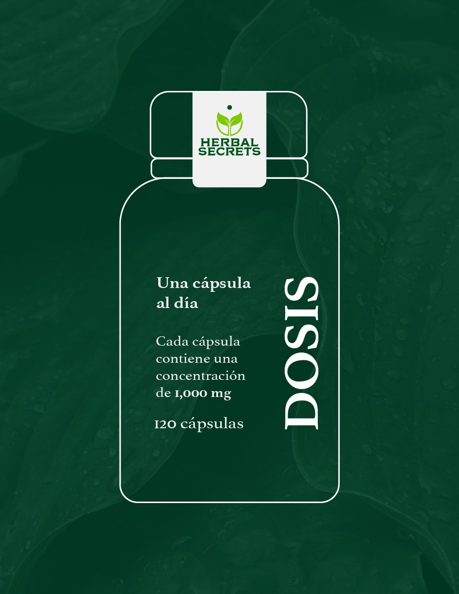 Suplementos alimenticios herbal secrets astragalus 1000 mg bienestar inmune 120 cápsulas herbal secrets con astrágalo