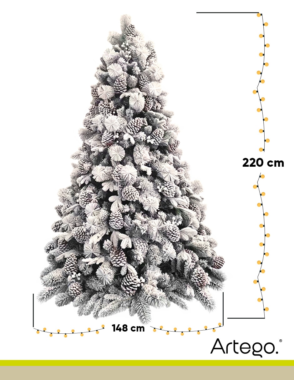 Árbol de navidad Piñas Gigantes Alberta Spruce 8