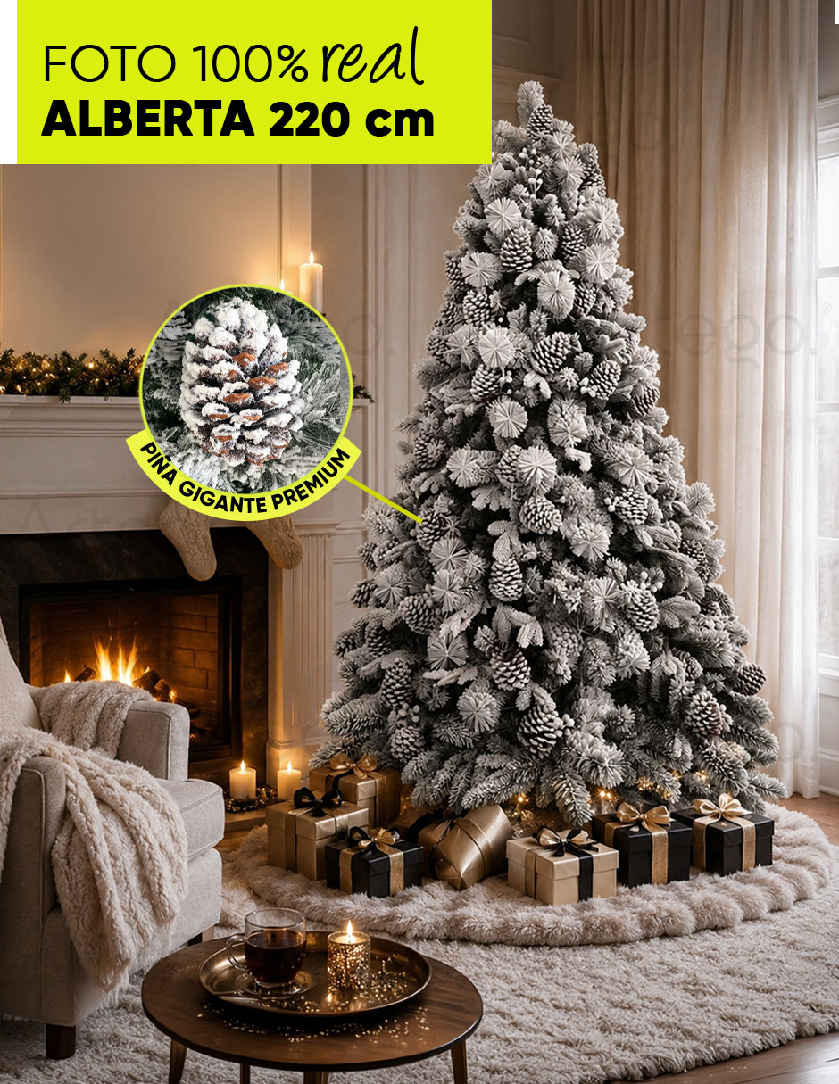 Árbol de navidad Piñas Gigantes Alberta Spruce 2