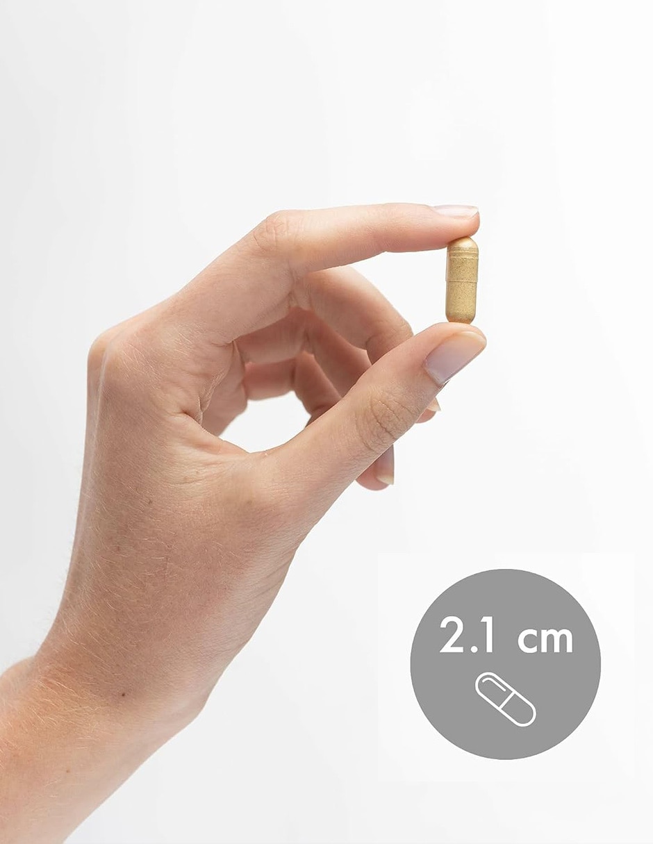 Suplementos alimenticios dr. Mercola gallbladder enzymes bienestar digestivo 30 cápsulas dr. Mercola con enzimas digestivas (lactasa proteasa amilasa lipasa)