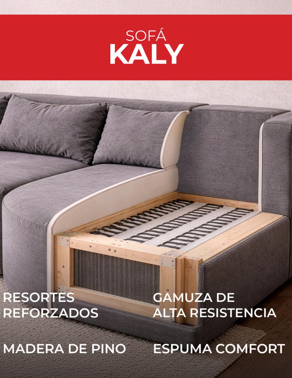 Sala de madera 3