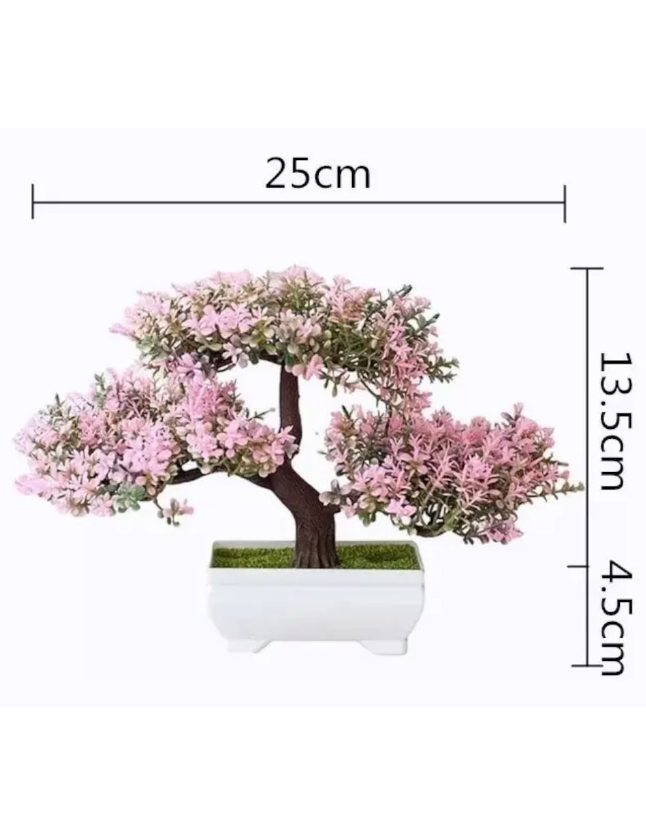 Planta bonsai natural 3