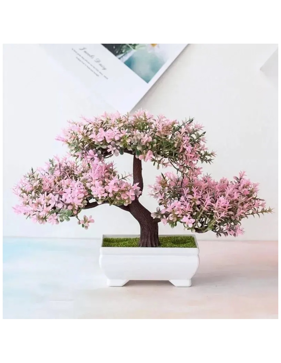 Planta bonsai natural 2