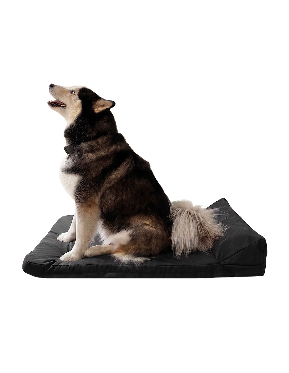 Cama para perro y gato