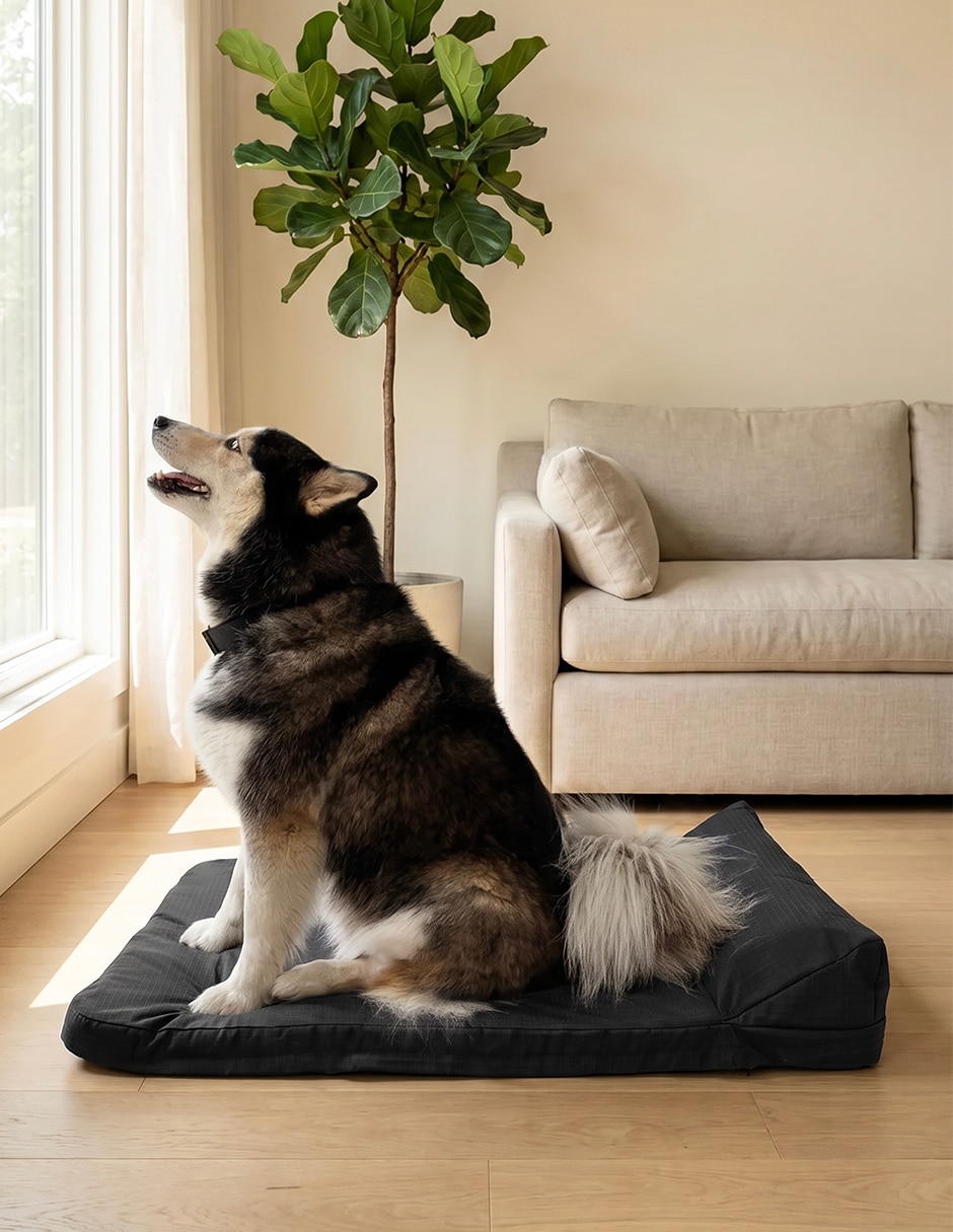 Cama para perro y gato 4