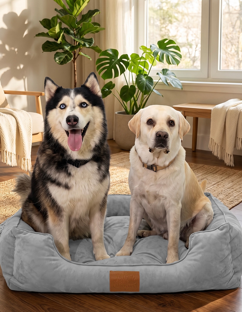 Cama para perro y gato 13