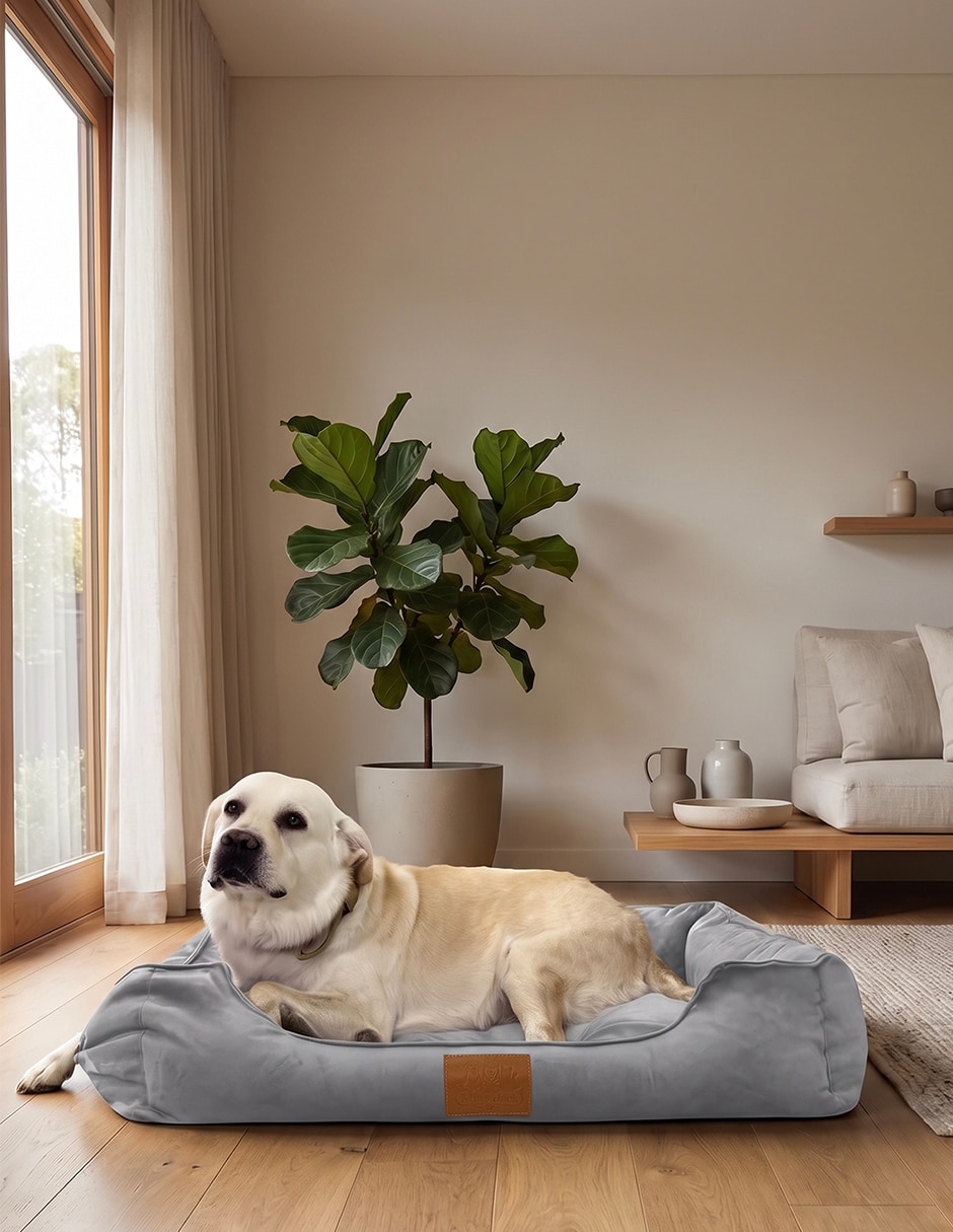 Cama para perro y gato 5