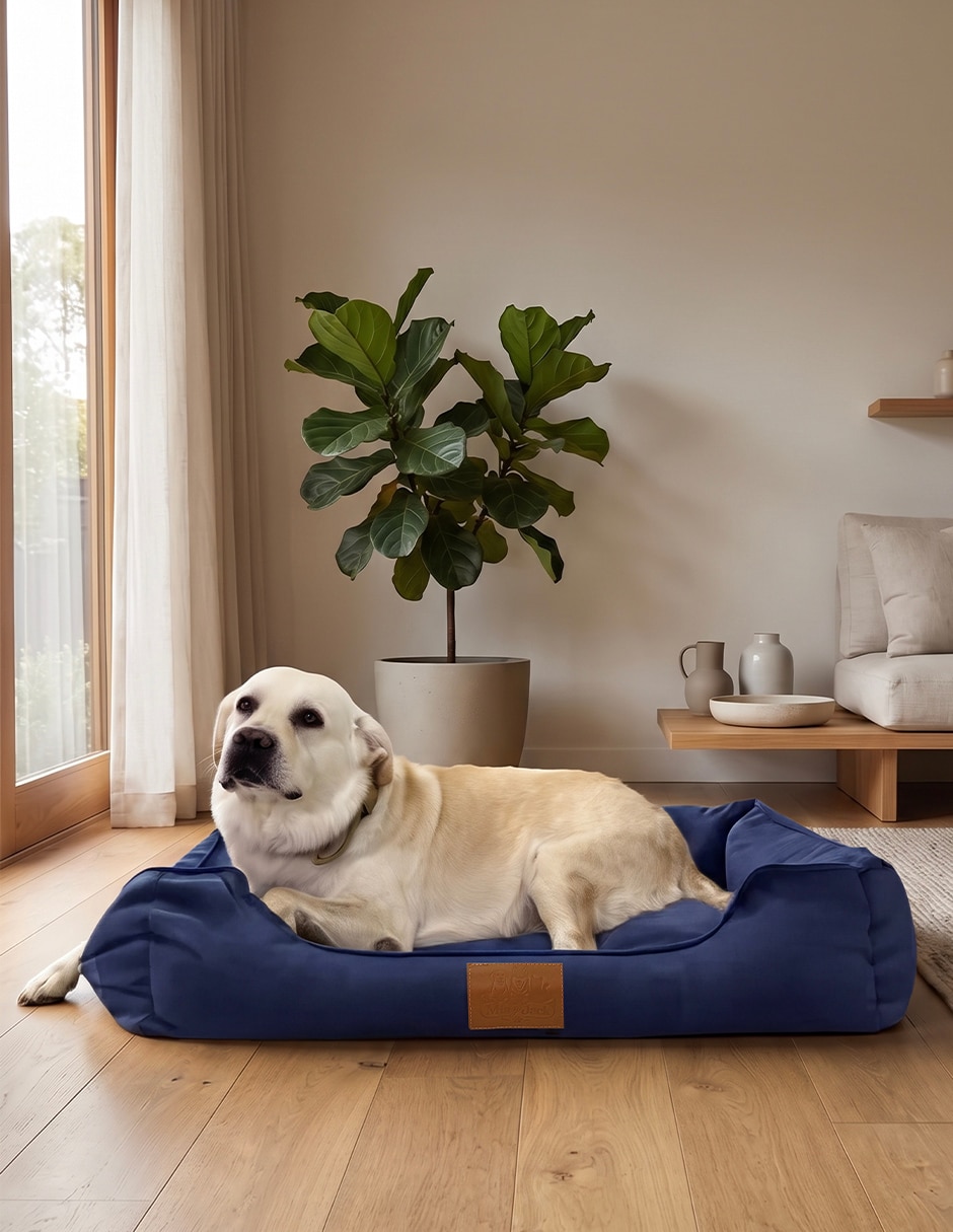 Cama para perro y gato 12