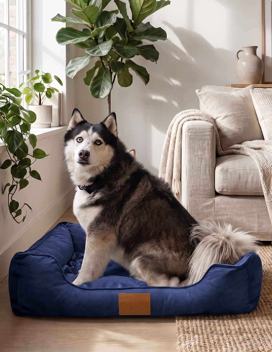 Cama para perro y gato 4