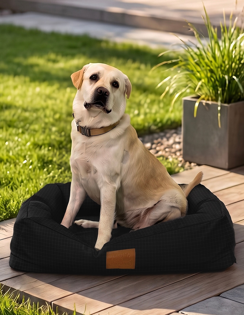 Cama para perro y gato 4