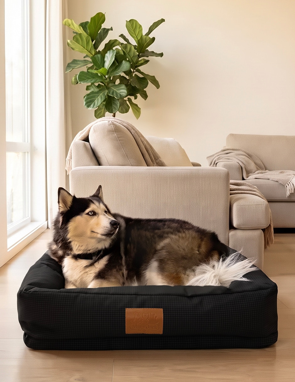Cama para perro y gato 6