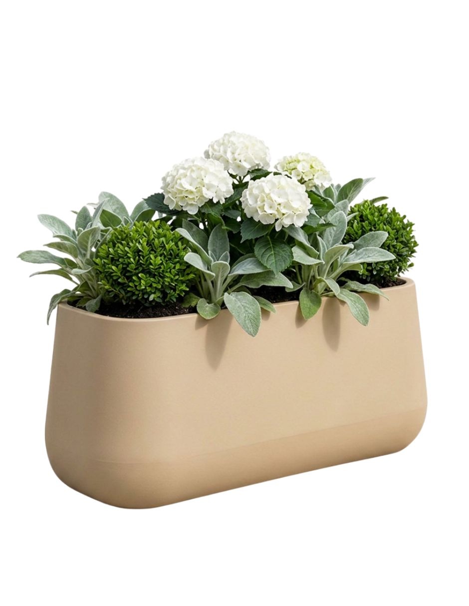 Maceta camelia large de polietileno con no