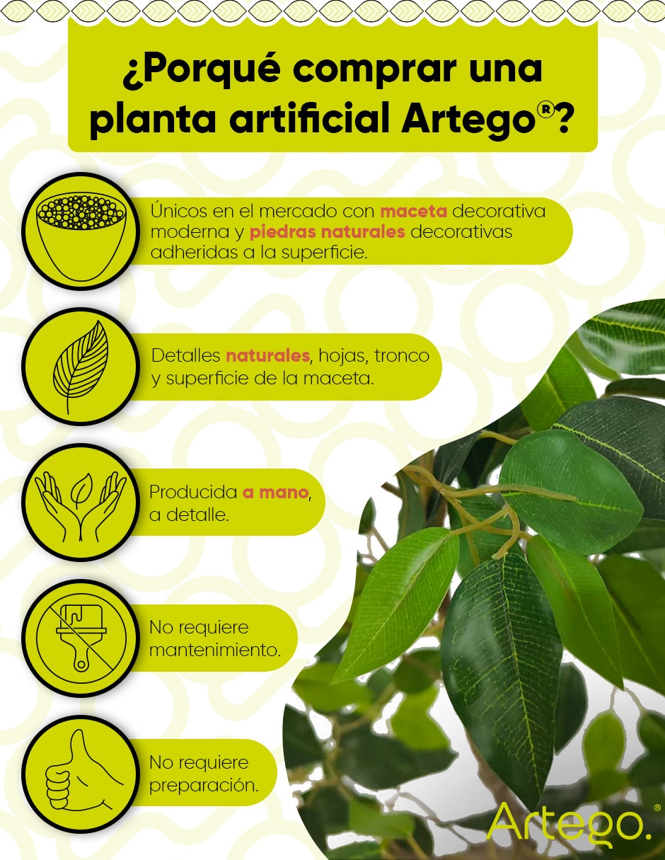 Planta ficus artificial vera real style ficus 3