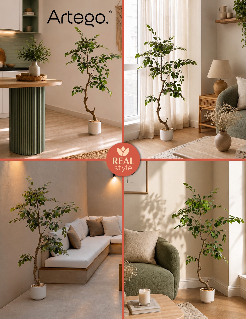 Planta ficus artificial vera real style ficus 5