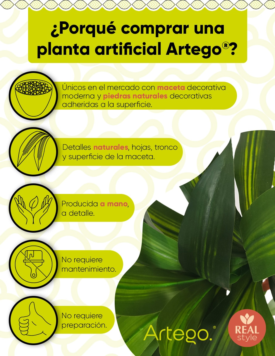 Planta palo de brasil artificial kenia real style dracaena 2