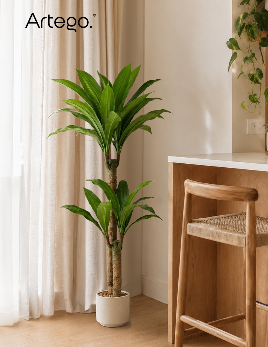 Planta palo de brasil artificial kenia real style dracaena 6