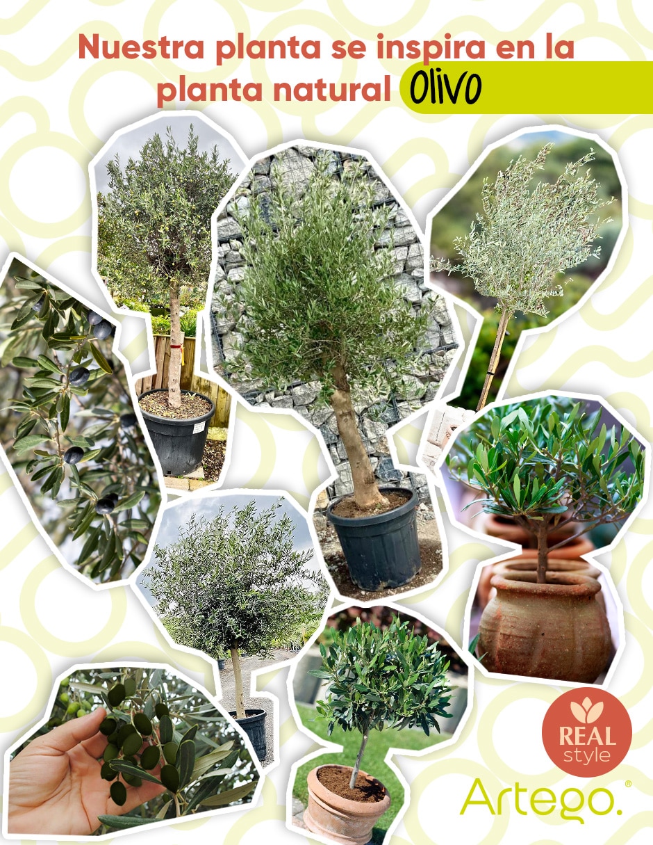 Planta olivo artificial olive real style olivo 4
