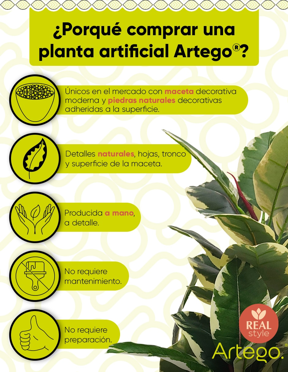 Planta ficus artificial tierra real style oak ficus variegata 2