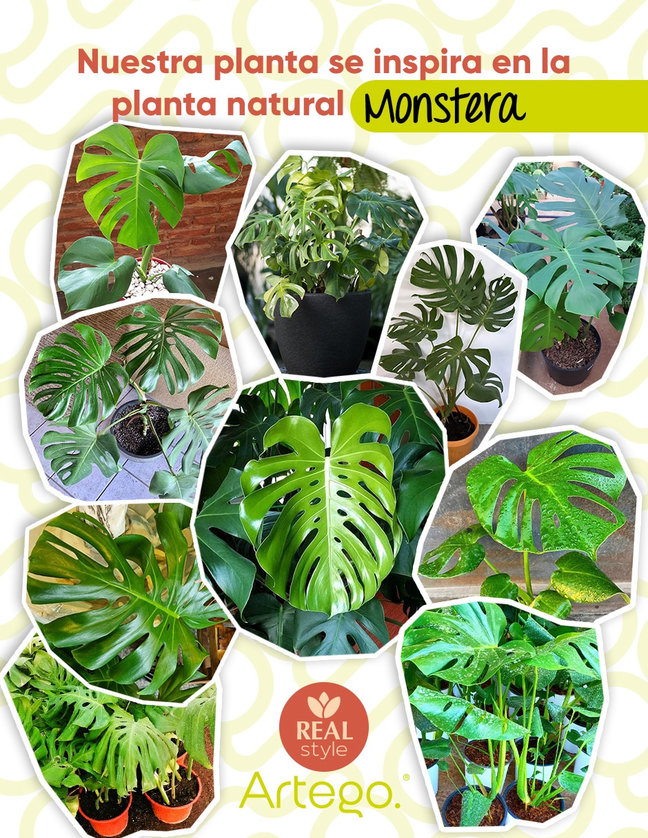 Planta monstera artificial tortu real style monstera tortuga 5