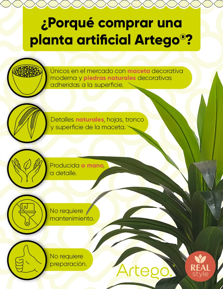 Planta palo de brasil artificial manglar real style dracaena palo de brasil 4