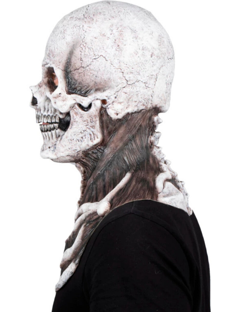 Máscara para disfraz de calavera Mr.Bones 5