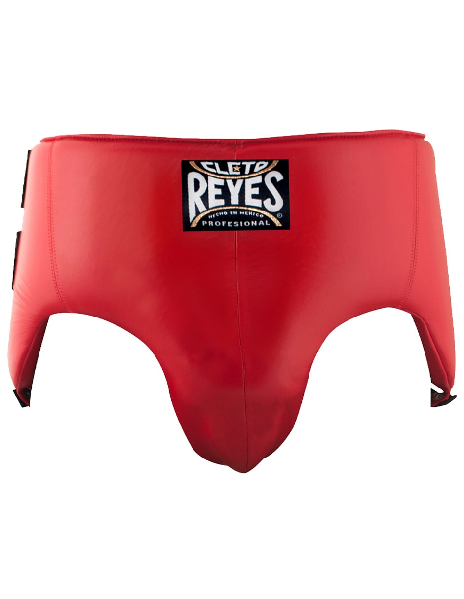 Protectores de box 1