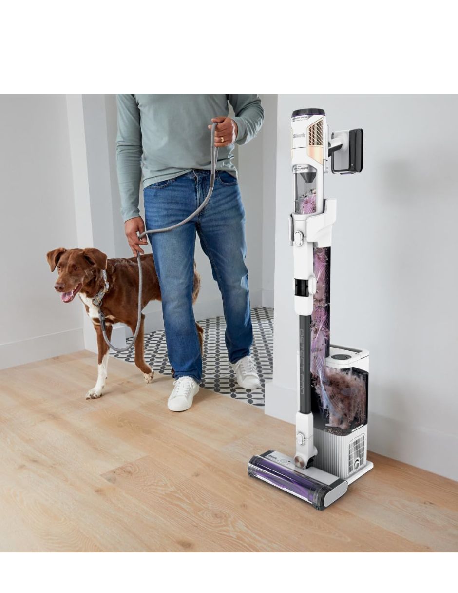 Aspiradora vertical IW3615 2 litros 2