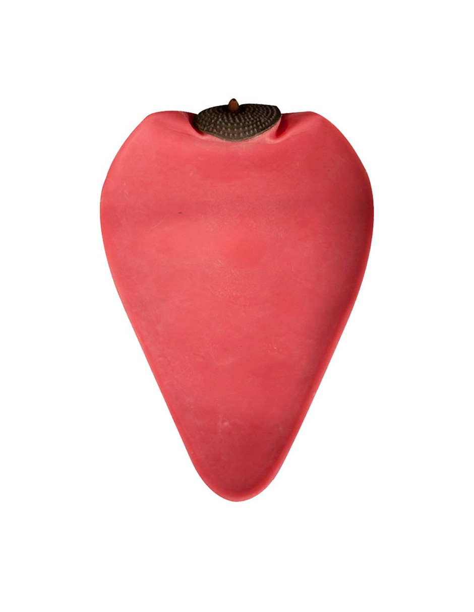 Pera 06g570.m.red sobrepuesta 3