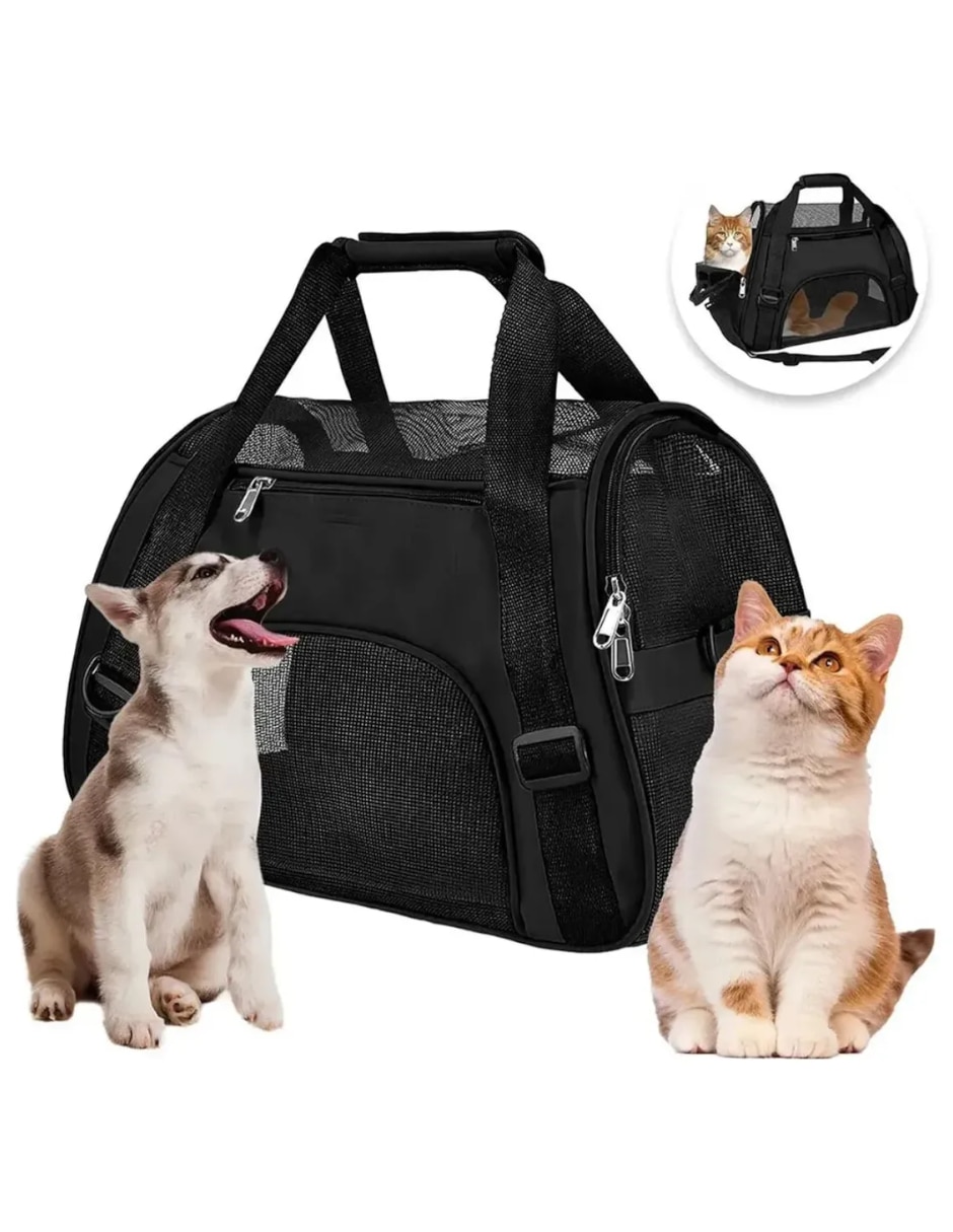 Mochila para mascota 3